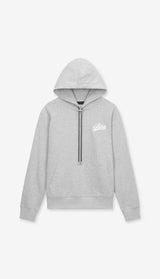 RTA DION HOODIE _ HEATHER GREY COLLEGIATE SCRIPT